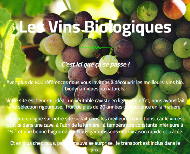 les vins biologiques